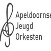 Vereniging Apeldoornse Jeugdorkesten